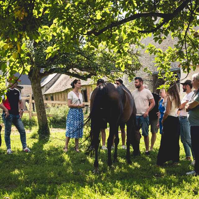 Les Ateliers du Mont Viné