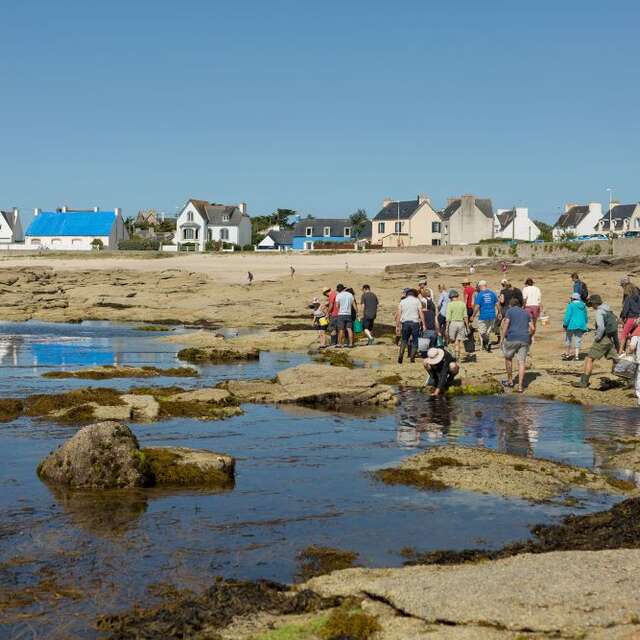 MaLo Blue Horizons - Seaweed experiences