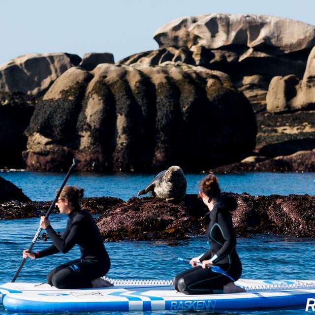 Les enfants de la côte - Nautisme
