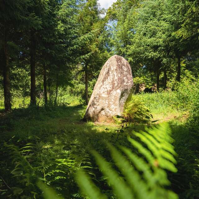 Le Menhir