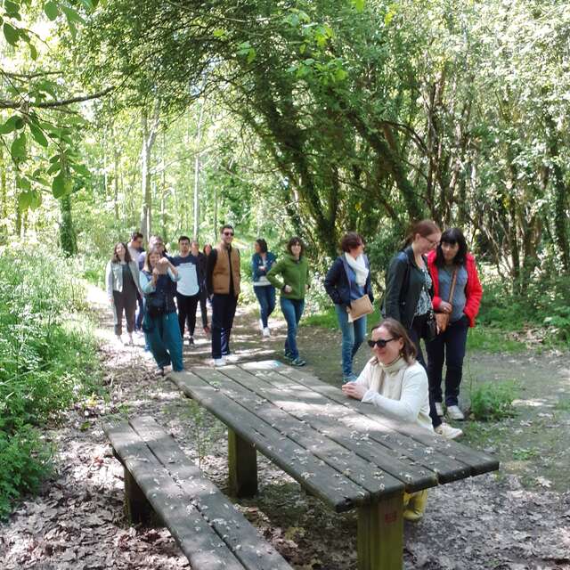 Aire de pique nique du Launay