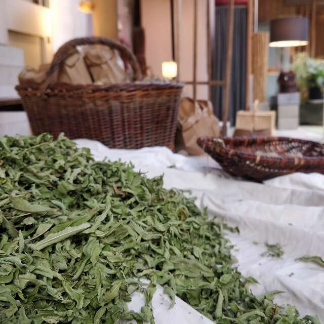 Visite guidée du jardin de plantes aromatiques et médicinales.