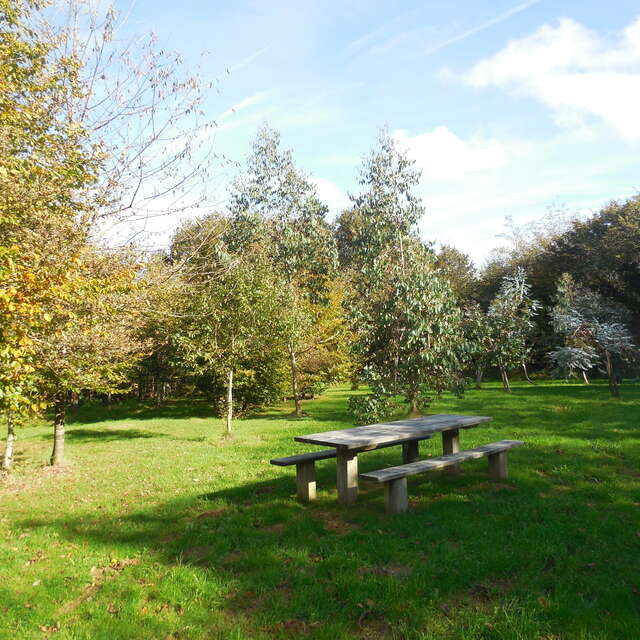 Aire couverte de l'arboretum de Beffou