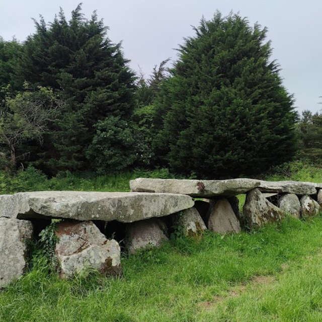 Allée couverte de Prajou-Menhir