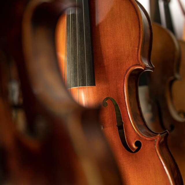 Ensemble Matheus - Les maîtres du baroque