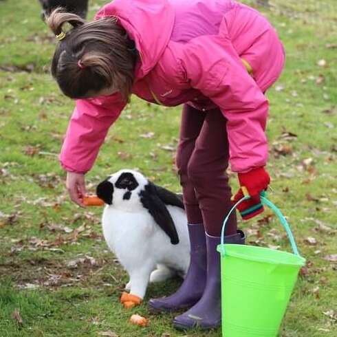 La Combe aux ânes, ferme pédagogique, asinerie