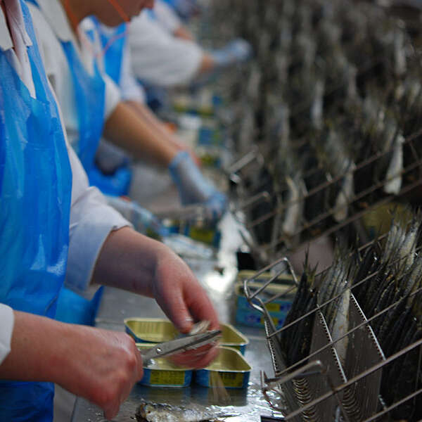 Visite de la conserverie La Compagnie Bretonne