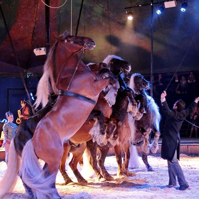 Haras National d'Hennebont