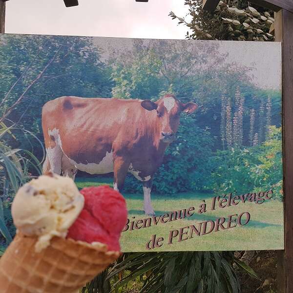 Devenez un petit fermier, assistez à la traite !