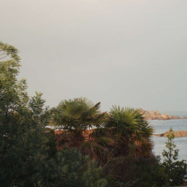 Côte de Granit Rose