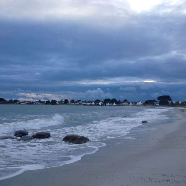 DREAU Gwenaëlle - Fleurs