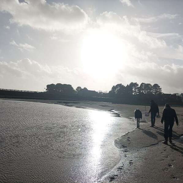 Sortie découverte de l'estran - Pêche à pied