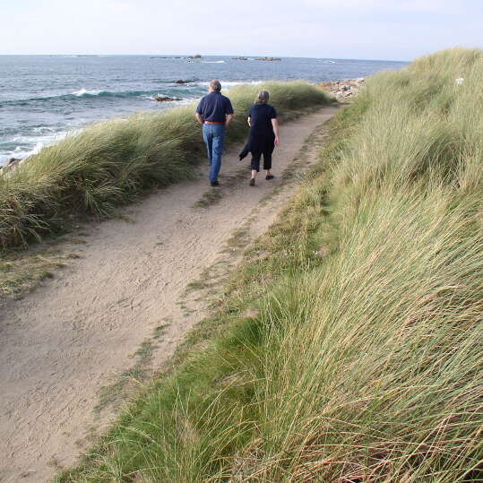 Plage de l'île Jaouen, Landrellec