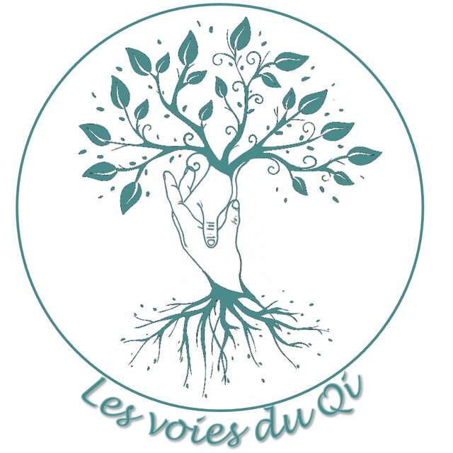 Les voies du Qi