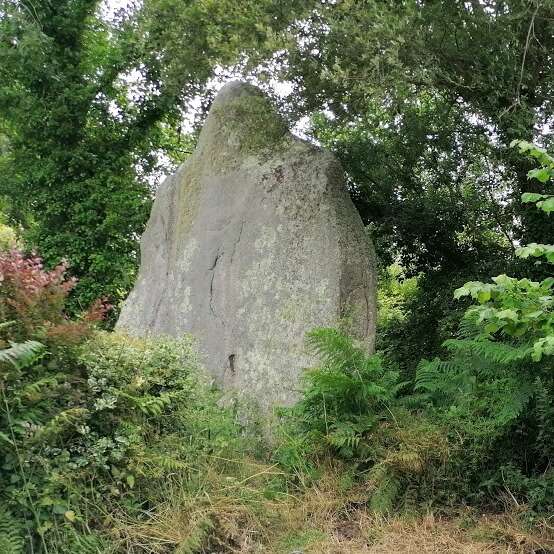 Les menhirs de Kerscaven