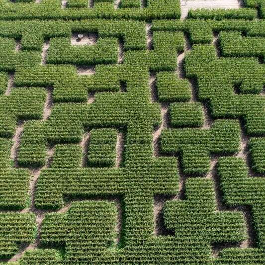 Pop Corn Labyrinthe Quimper (Ploneour Lanvern)