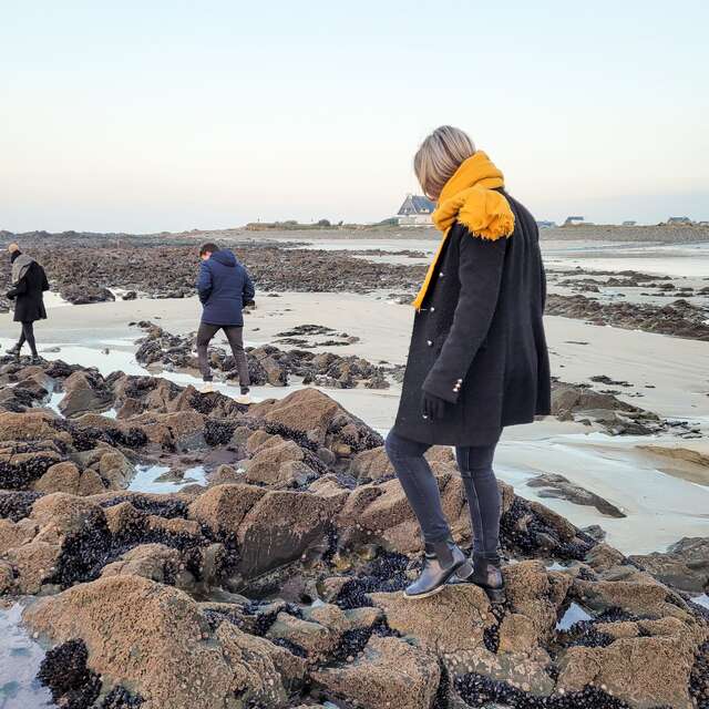 Sortie nature : sentinelles de l'estran