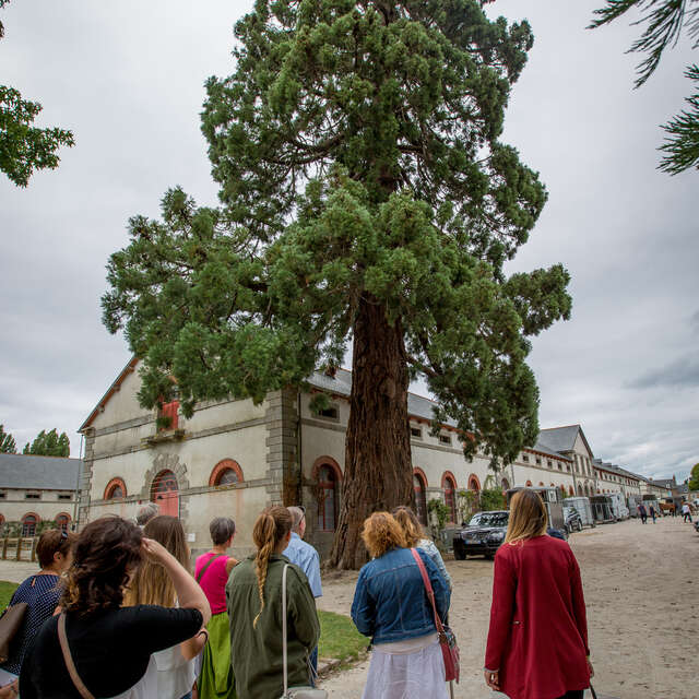 Haras National de Lamballe