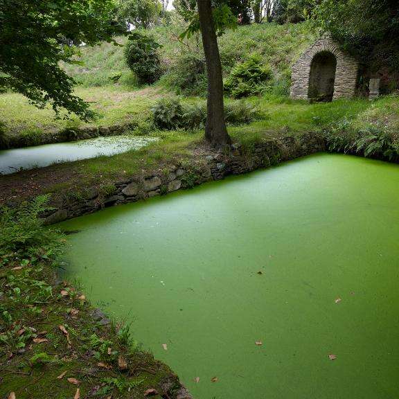Fontaine Saint-Maudez et routoirs de Convenant Diuzet