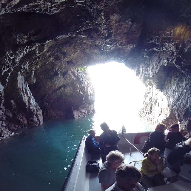 Vedettes Sirènes