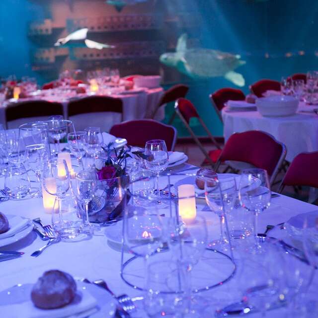 Grand Aquarium de Saint-Malo