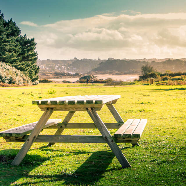Aire de l'île Renote