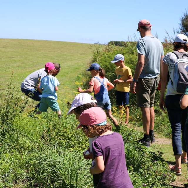 Les rendez-vous nature - Atelier Musique verte