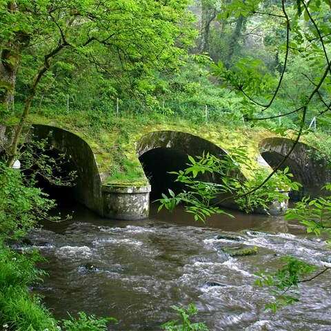 Viaduc de la plage de Trégrom