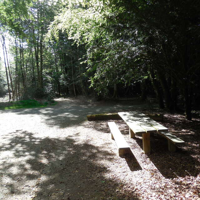 Aire de la maison forestière de Beffou