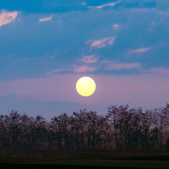Les rendez-vous nature - Balade contée au clair de lune à l'Île-Tudy