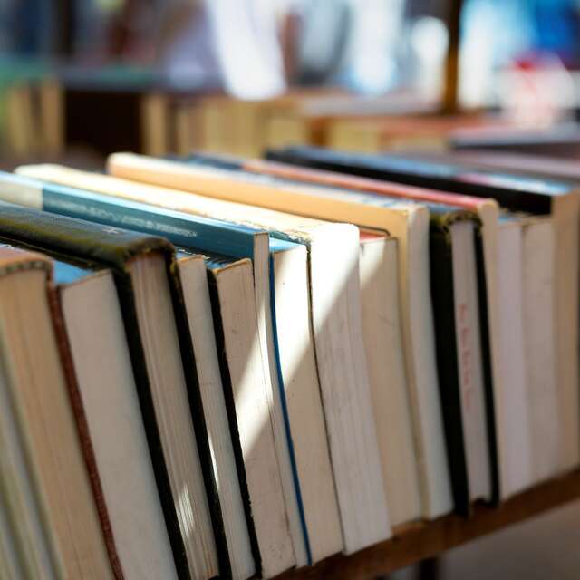 Goéland Masqué - Festival du polar, de la BD et de la littérature jeunesse