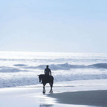 Centre équestre de la Torche