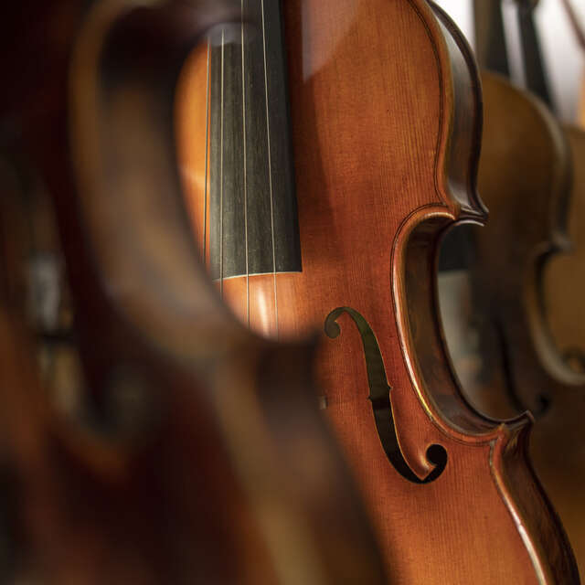 Concert - Gogo Penguin