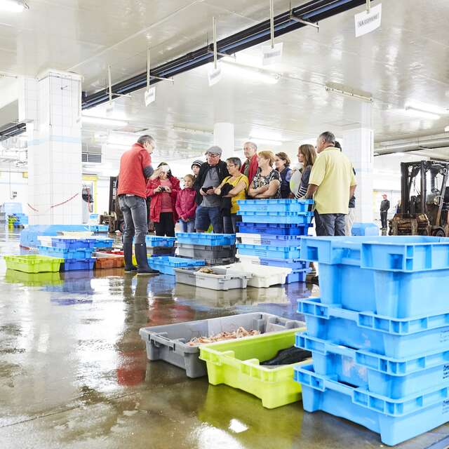 Visite guidée de la criée côtière - Visite libre des expositions d'Haliotika
