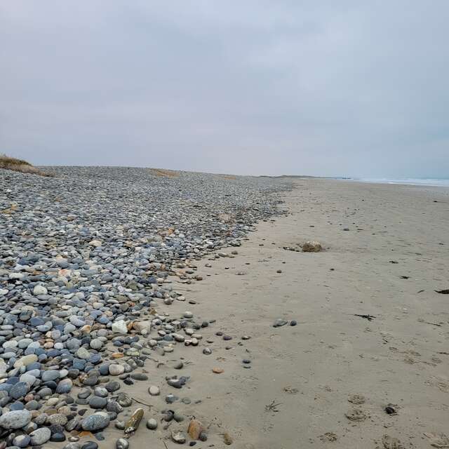 Sortie nature - Les oiseaux de Trunvel