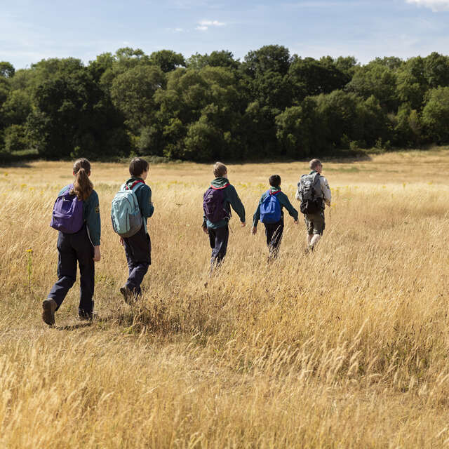 Fête de la langue bretonne - Balade nature en breton