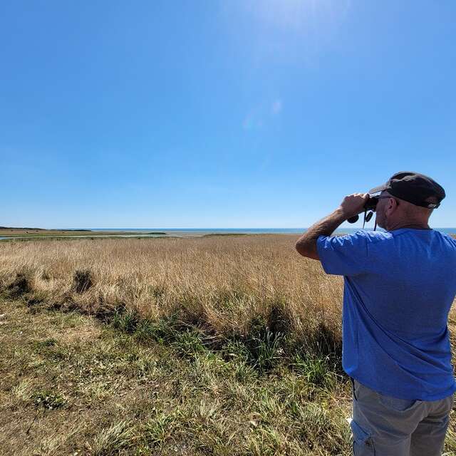 Sortie nature : Ecosystème plage