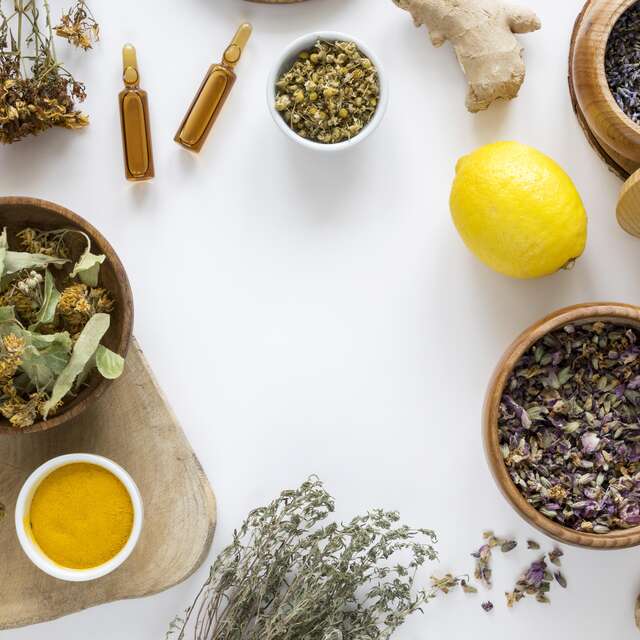 Atelier bien-être -  La naturopathie