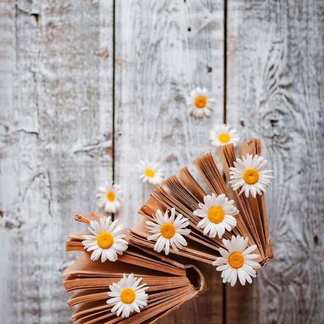 Printemps des poètes - Lecture de textes