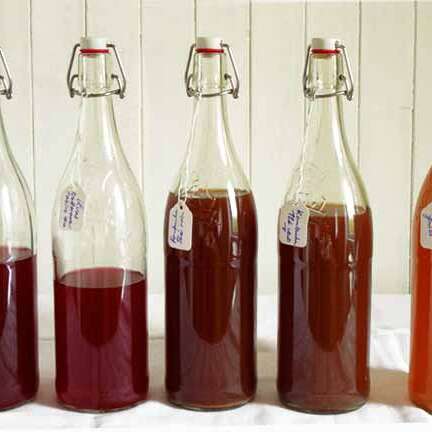 Atelier Boissons Fermentées