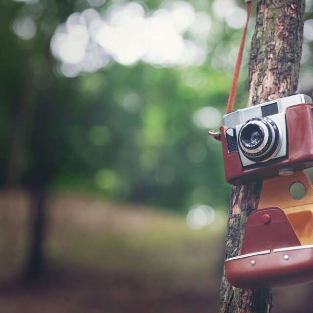 Concours photo - Le Polar et la Mer