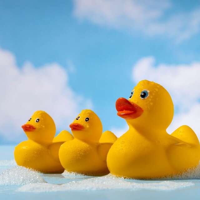 Bigouden Duck Race - Course de canards sur la rivière de Pont-l'Abbé