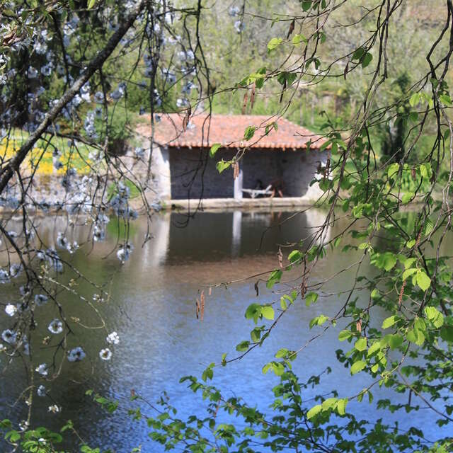 Aires de pique nique - étang du petit lavoir