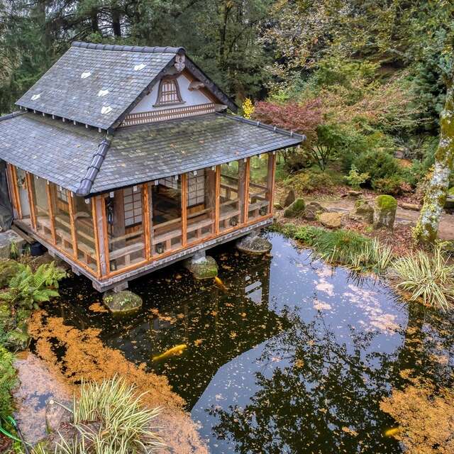 Rendez-vous aux jardins 2025 - Jardin Japonais de Bonnac-la-Côte