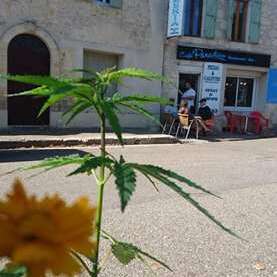 Le Paradiso