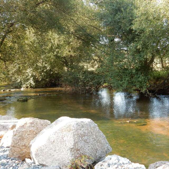 "Les Pieds dans l'Eau " Grande capacité - 15 personnes