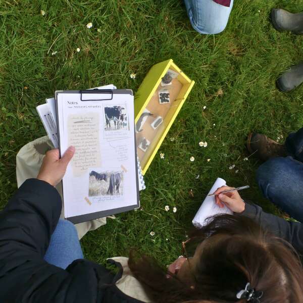 Escape game nature à Terres d'Oiseaux