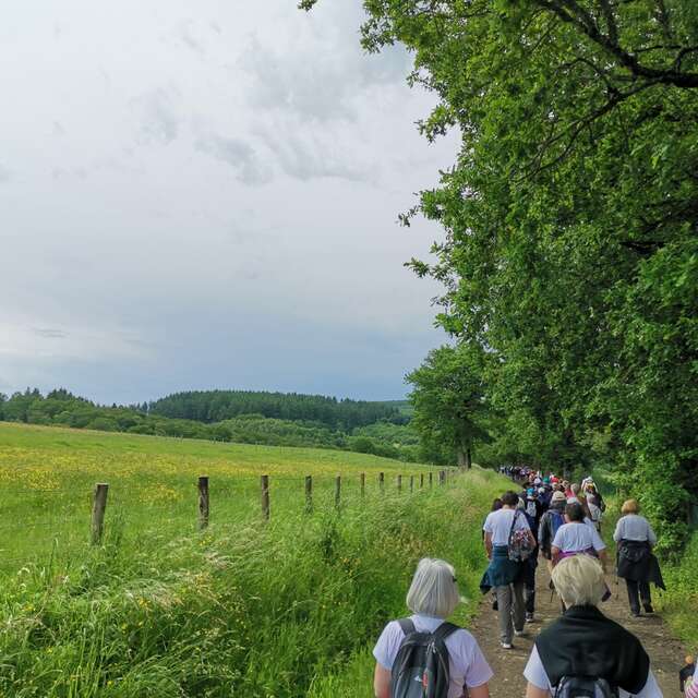 Randonnée pédestre "Bois des Boeufs"