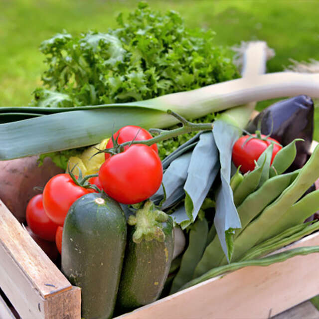 Verdures, légumes bio du Plateau