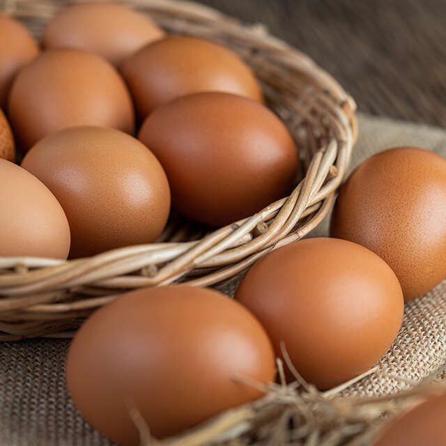 Les Oeufs du Plateau